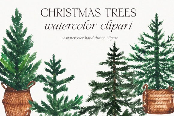 Download Watercolor Christmas Pine Tree Clipart - Christmas Collection